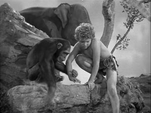 Tarzan Triumphs 1943
